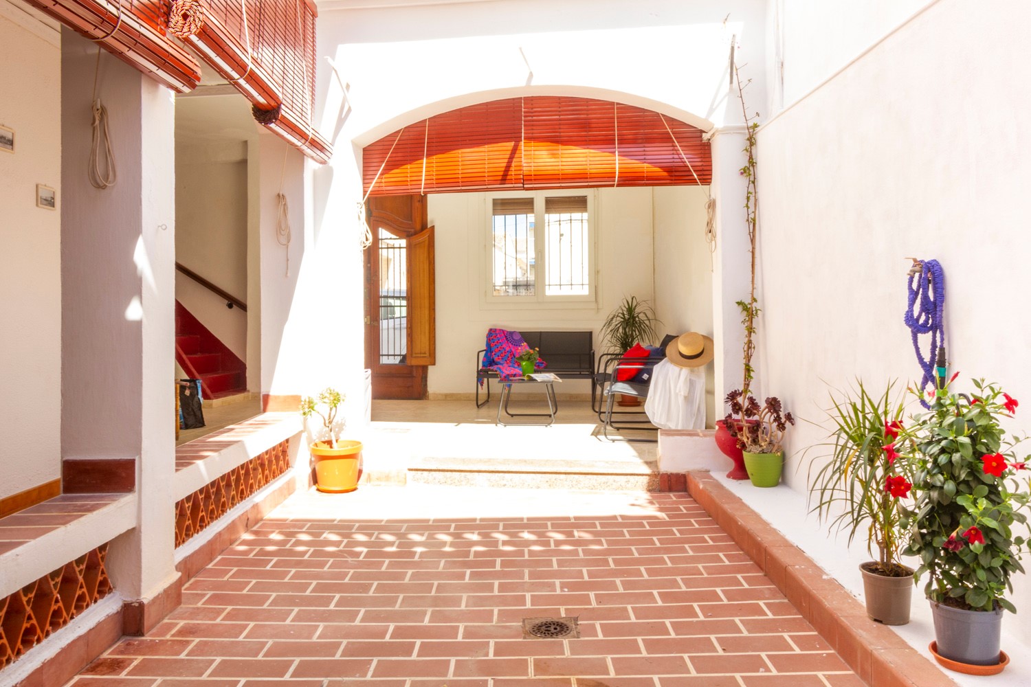 Oliva - patio casa mediterranea