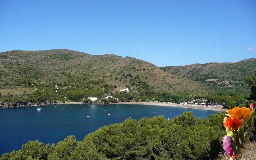 Cala Montjoy
