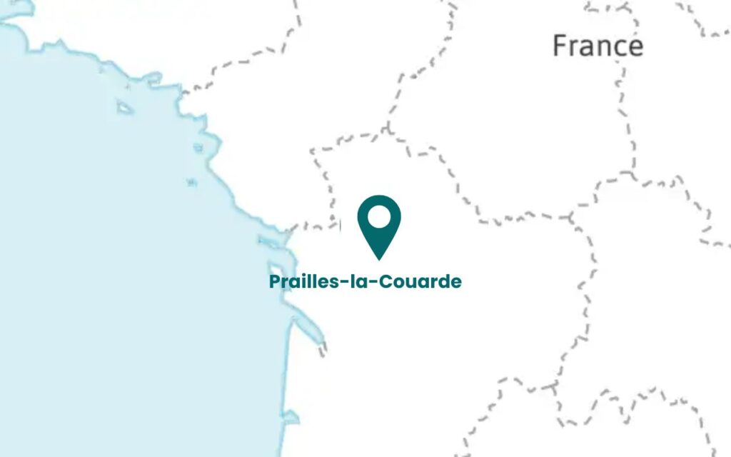 Ptailles-la-Couarde care France
