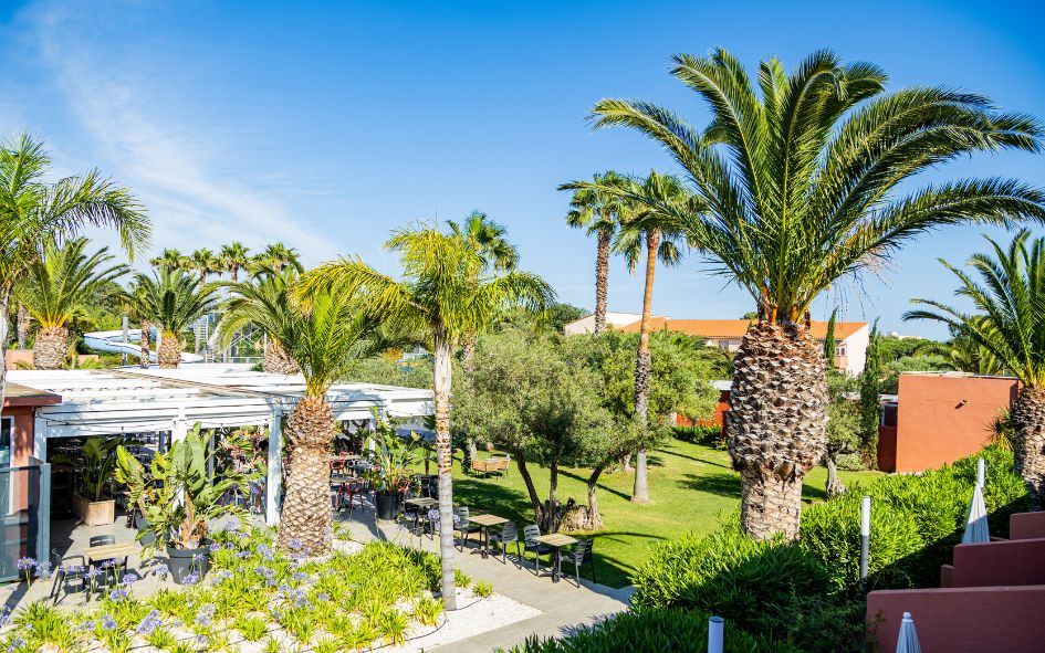 argeles-camping-anitea-argeles-jardin-palmier