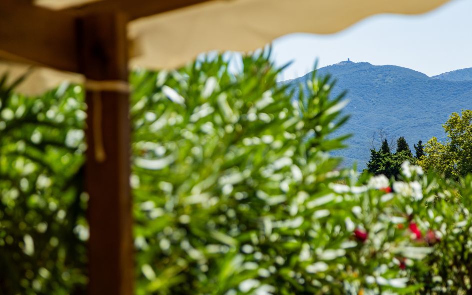 argeles-camping-del-mar-vue