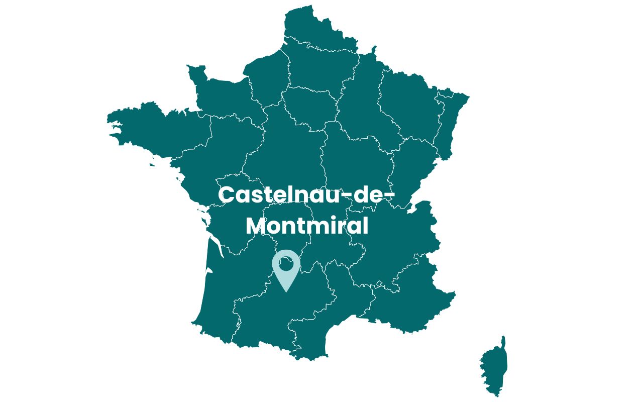 carte-castelnau-de-montmiral-france