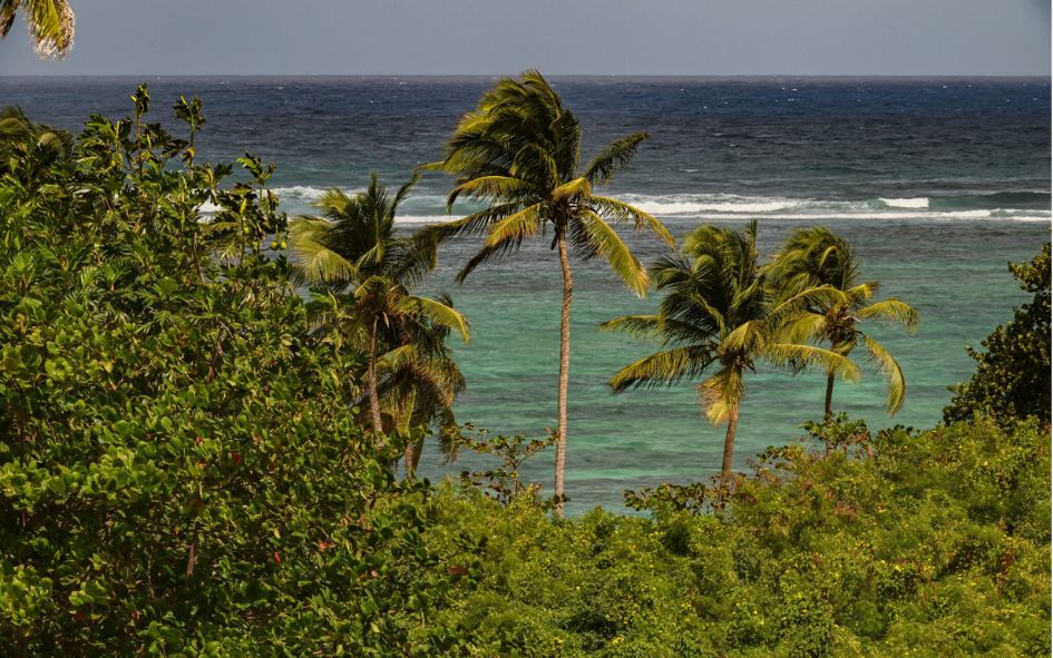 Residence tropicale à Le Moule en Guadeloupe vue mer