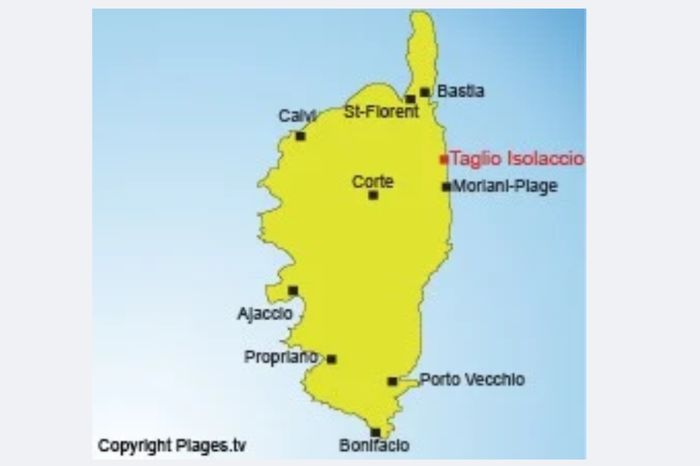 plan taglio