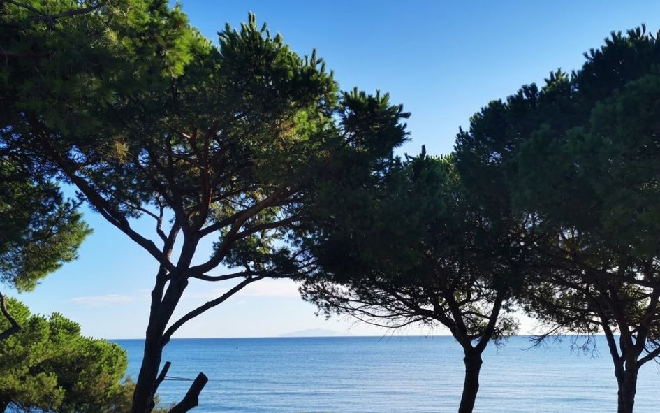 Accès à la mer directement depuis le village vacances à Taglio